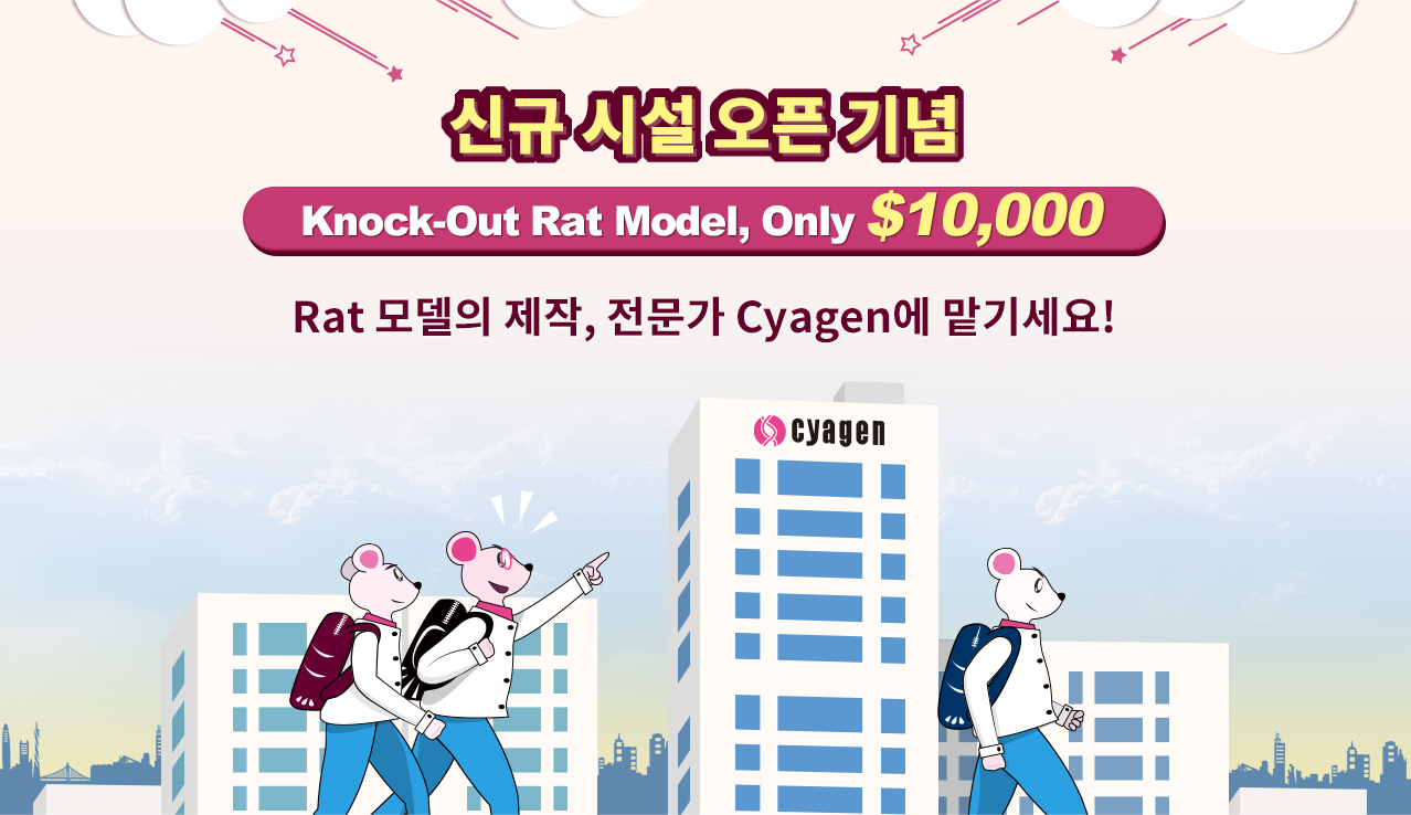신규 시설 오픈 기념, Knock-Out Rat Model, Only $10,000! Rat 모델의 제작, 전문가 Cyagen에 맡기세요! | Cyagen Korea