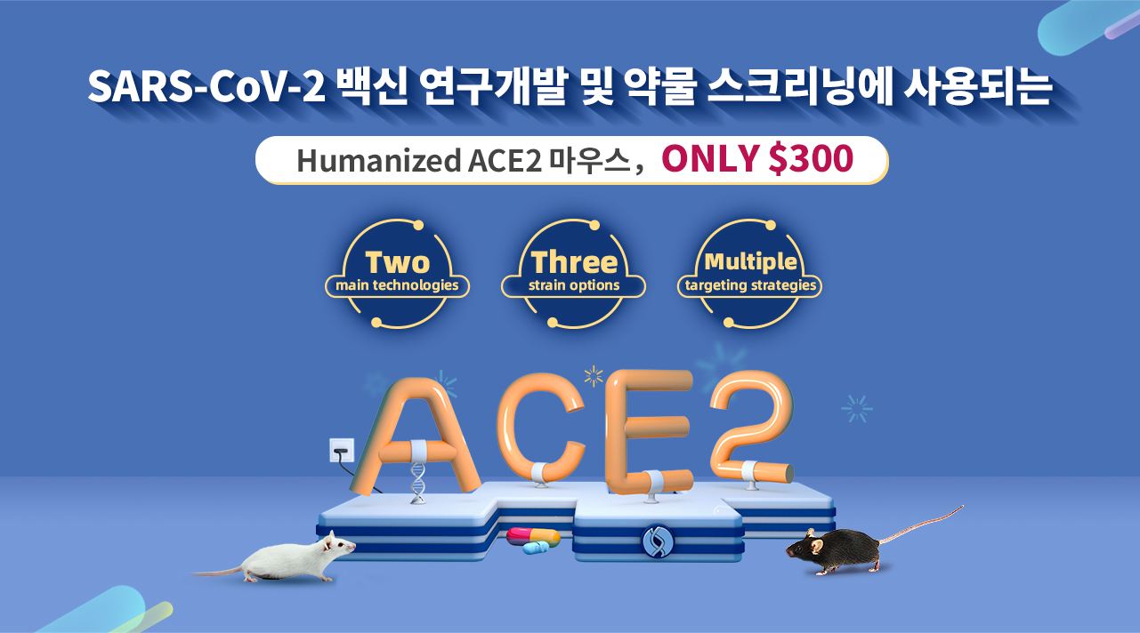 SARS-CoV-2 백신 연구개발 및 약물 스크리닝에 사용되는 ACE2 Humanized 마우스 | Cyagen Korea