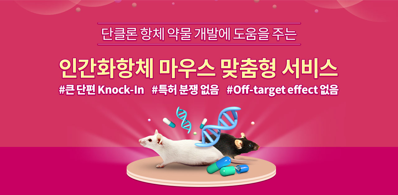 인간화항체 마우스 맞춤형 서비스 | Cyagen Korea